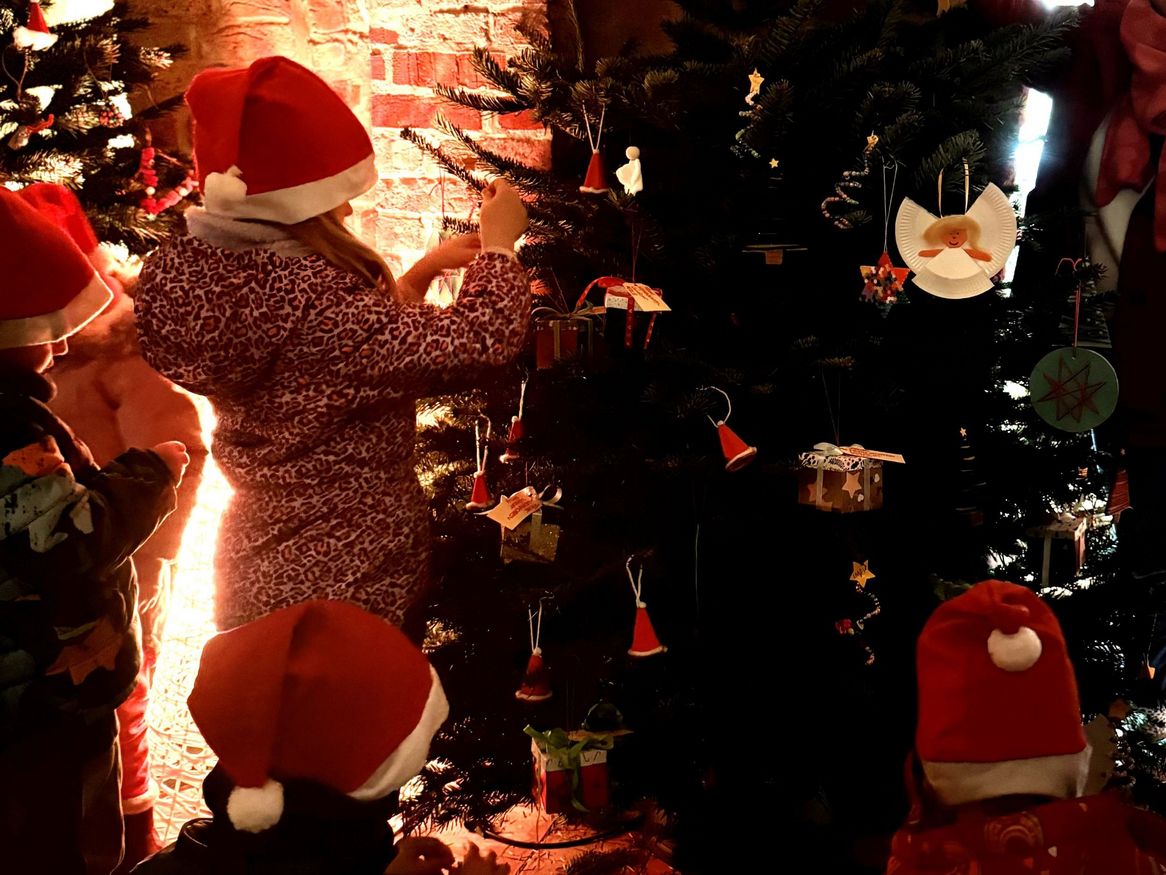 Kitas aus Stralsund und der Region schmücken 25 Tannen im historischen Gewölbekeller des Stralsunder Rathauses.