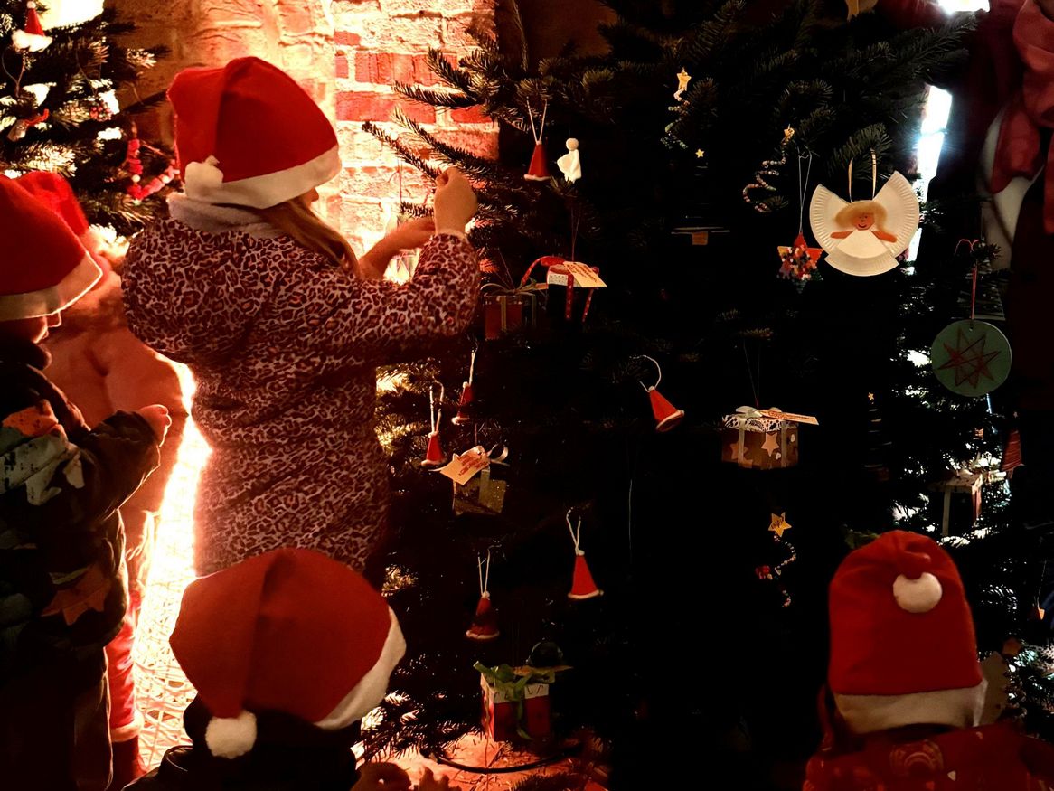 Kitas aus Stralsund und der Region schmücken 25 Tannen im historischen Gewölbekeller des Stralsunder Rathauses.