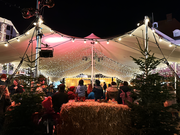 Kulturzelt auf dem Alten Markt Stralsund